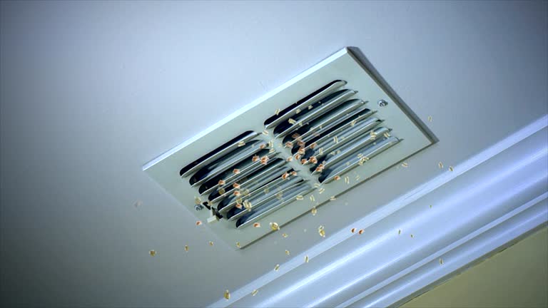 Best Affordable Duct Cleaning Services  in Pacific, MO